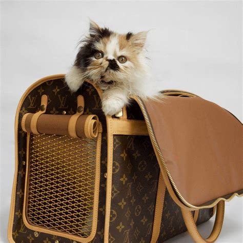 louis vuitton monogram canvas dog carrier 50 replica|check for louis vuitton belts.